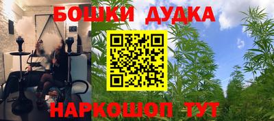 амф Новокубанск